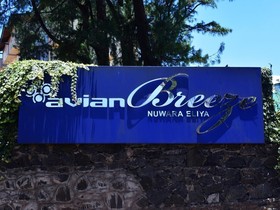 Avian Breeze