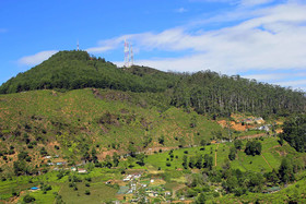 Green Forest Hotel by OYO Rooms
