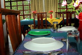 Green Forest Hotel by OYO Rooms