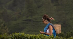 Heritance Tea Factory