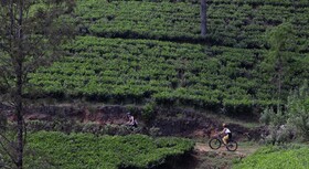 Heritance Tea Factory