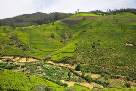 Hotel Qantara