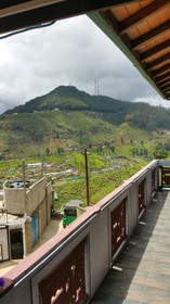 Misty Mountain Villas