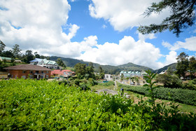 Mount Mary Inn