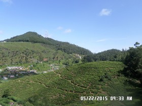 Mount View Hotel