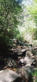 Thalagala Oya Resort