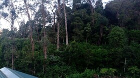 Thalagala Oya Resort