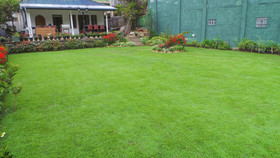 The Golf Green Bungalow