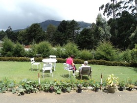 The Trevene Hotel
