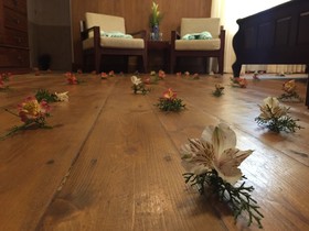 The Trevene Hotel