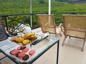 Villa Tea Fields