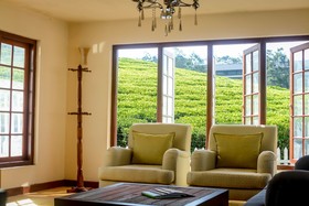Villa Tea Fields
