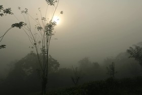 Monsoon Adventure Park