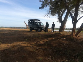 Wild Eco Safari