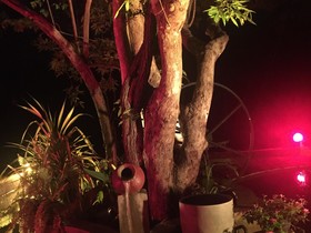 Hotel Nature Trails