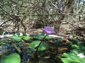 Hotel Nature Trails