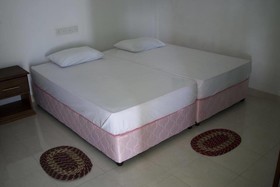 Royal Nest