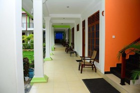 Royal Nest