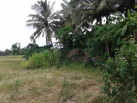 Wasantha Family Rest