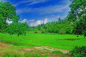 Magampura Pure Ayurvedic Beach Villa