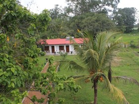 Apsara Guest