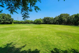 Camellia Resort and Spa