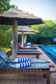 Camellia Resort and Spa
