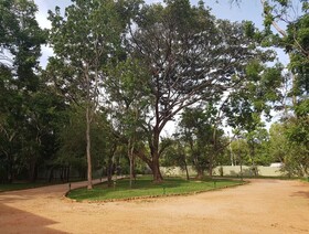 Eighth Wonder Resort