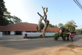 EKHO Sigiriya