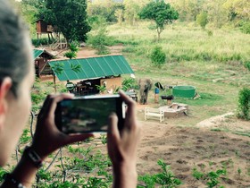 Elephant Watch Hut