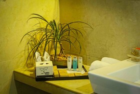 Elephas Resort & Spa
