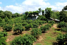 Green Hut Hotel & Restaurant