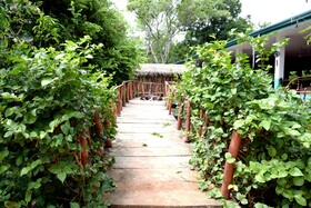 Hungry Lion Resort and Restaurant