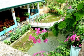 Hungry Lion Resort and Restaurant