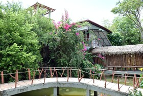 Hungry Lion Resort and Restaurant