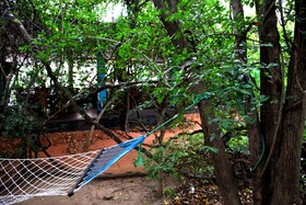 Hungry Lion Resort and Restaurant