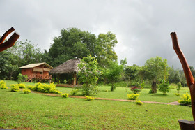 Liyon Rest