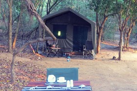 Mahoora Tented Safari Camp - Wasgamuwa