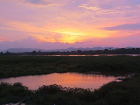Mahoora Tented Safari Camp - Wasgamuwa