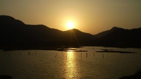 Mahoora Tented Safari Camp - Wasgamuwa