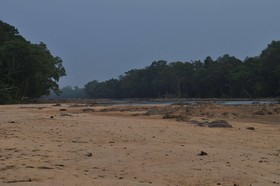 Mahoora Tented Safari Camp - Wasgamuwa