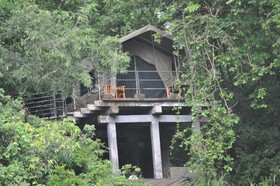 Mahoora Tented Safari Camp - Wasgamuwa