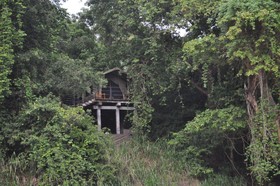 Mahoora Tented Safari Camp - Wasgamuwa