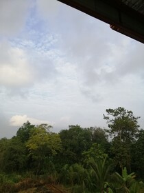 Organic Garden Sigiriya