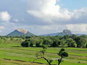 Organic Garden Sigiriya
