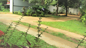 Pura Sanda Villa