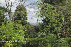 Sigiri Choona Lodge