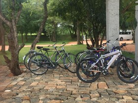 Sigiriya Jungles