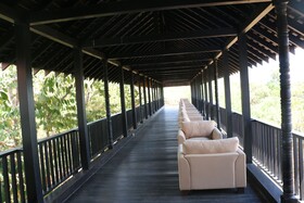 Sigiriya Jungles
