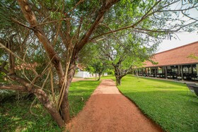 Sigiriya Jungles